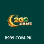 2GO Game