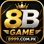 8B Game