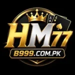 HM77