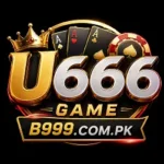 U666 Game