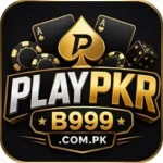 Playpkr
